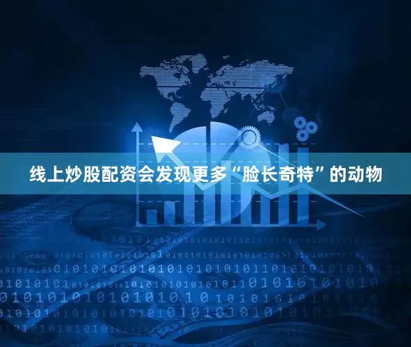 线上炒股配资会发现更多“脸长奇特”的动物